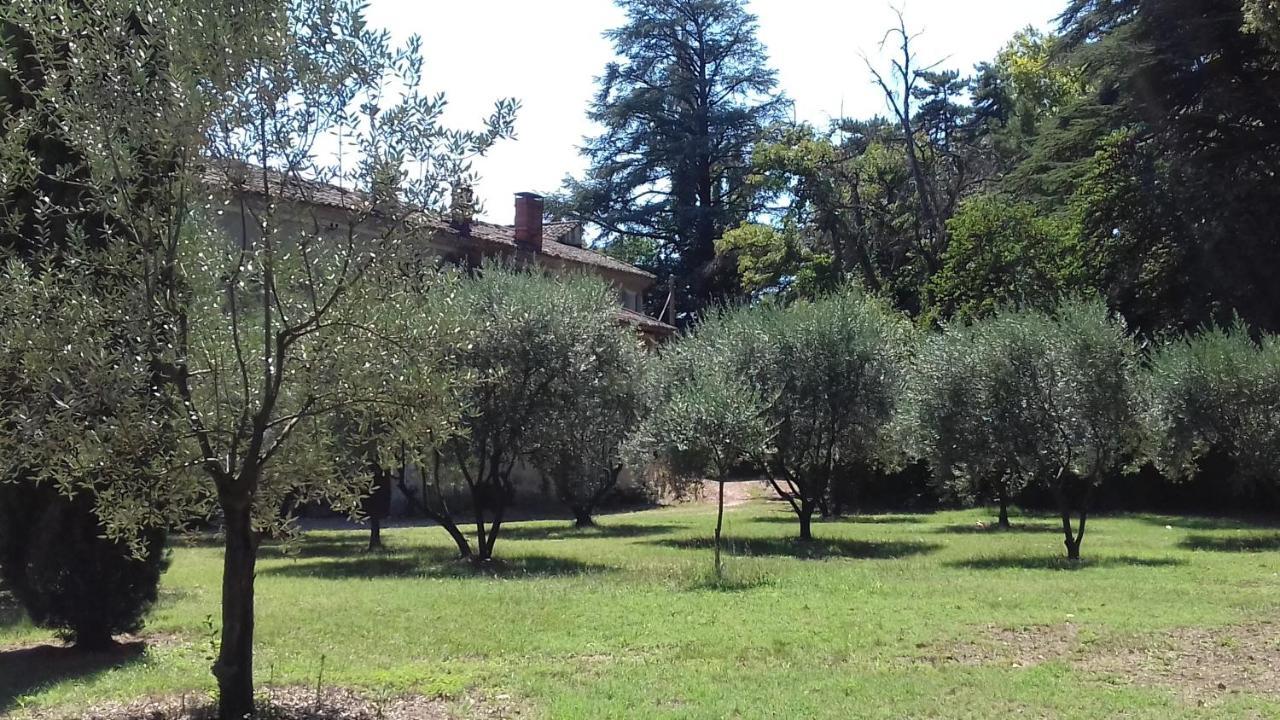 Domaine De Bellevue Chambre D'Hotes Beaumes-de-Venise Exterior foto